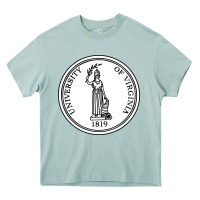Arona University of Virginia Heavy Core Tee - linhVisuals