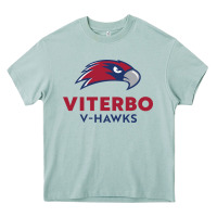 Arona v-h4wks, viterbo, education Heavy Core Tee - linhVisuals