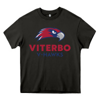 Asphalt v-h4wks, viterbo, education Heavy Core Tee - linhVisuals