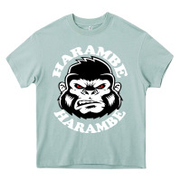 Arona harambe Heavy Core Tee - linhVisuals