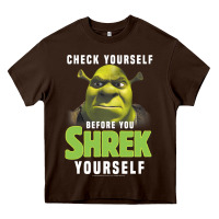 Chocolate Brown sh.rek check yourself before you sh.rek yourself t shirt Heavy Core Tee - linhVisuals
