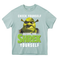 Arona sh.rek check yourself before you sh.rek yourself t shirt Heavy Core Tee - linhVisuals