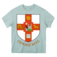 Arona university bristol Heavy Core Tee - linhVisuals