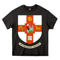 Asphalt university bristol Heavy Core Tee - linhVisuals