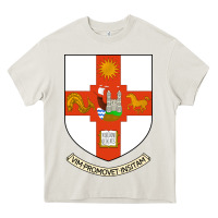 Cream university bristol Heavy Core Tee - linhVisuals