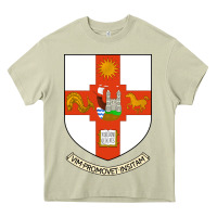Mossy university bristol Heavy Core Tee - linhVisuals