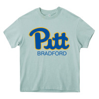 Arona pitt bradford, University of Pittsburgh at Bradford, Heavy Core Tee - linhVisuals