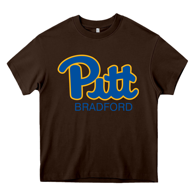 Pitt Bradford, University Of Pittsburgh At Bradford, Heavy Core Tee by linhVisuals | Teevron