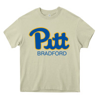 Mossy pitt bradford, University of Pittsburgh at Bradford, Heavy Core Tee - linhVisuals