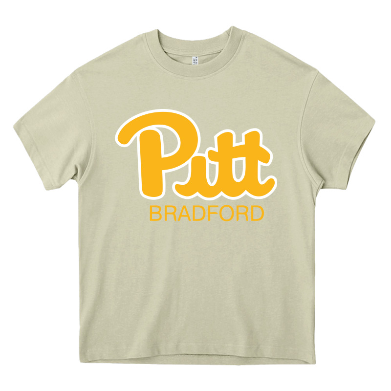 Pitt Bradford, University Of Pittsburgh At Bradford, Heavy Core Tee by linhVisuals | Teevron