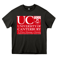 Asphalt university canterbury Heavy Core Tee - linhVisuals