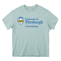 Arona University of Pittsburgh at Greensburg, Heavy Core Tee - linhVisuals