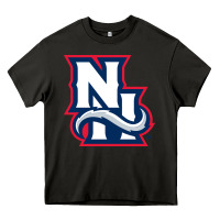 Asphalt new hampshire fisher cats Heavy Core Tee - linhVisuals