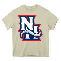 New Hampshire Fisher Cats Heavy Core Tee | Teevron