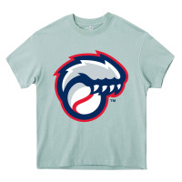 Arona new hampshire fisher cats Heavy Core Tee - linhVisuals