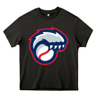 Asphalt new hampshire fisher cats Heavy Core Tee - linhVisuals