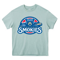 Arona tennessee smokies Heavy Core Tee - linhVisuals