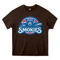 Chocolate Brown tennessee smokies Heavy Core Tee - linhVisuals