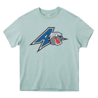 Arona unc asheville bulldogs Heavy Core Tee - linhVisuals