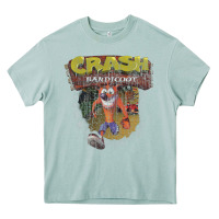 Arona crash bandicoot 1966 Heavy Core Tee - linhVisuals