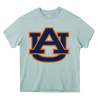 Arona Auburn tiger Heavy Core Tee - linhVisuals