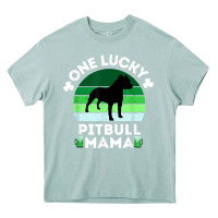 Arona funny st patrick's day one lucky pitbull mama pitbulldog t shirt Heavy Core Tee - linhVisuals