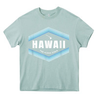 Arona hawaii the aloha state   aloha hawaiian from the islands!! t shirt Heavy Core Tee - linhVisuals