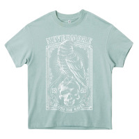 Arona edgar allen poe the raven nevermore t shirt Heavy Core Tee - linhVisuals