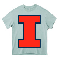 Arona illinois fighting illini Heavy Core Tee - linhVisuals