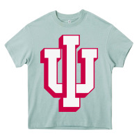 Arona indiana hoosiers Heavy Core Tee - linhVisuals