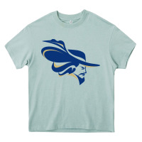 Arona montreat college cavaliers1 vectorized Heavy Core Tee - linhVisuals
