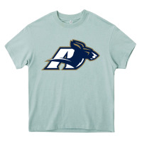 Arona akron university zips Heavy Core Tee - linhVisuals