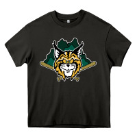 Asphalt lynchburg hillcats Baseball Heavy Core Tee - linhVisuals