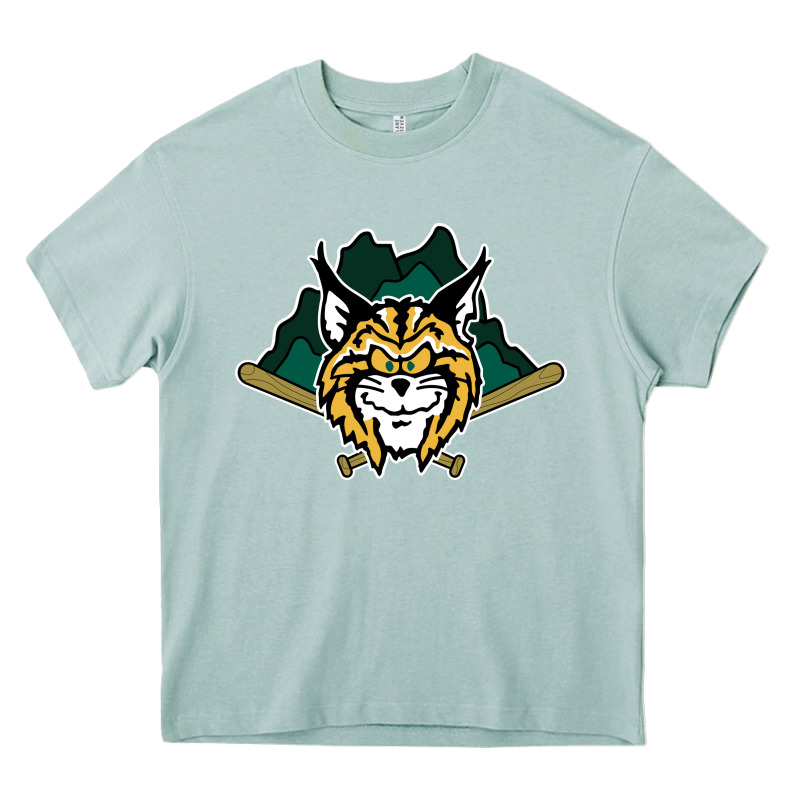Lynchburg Hillcats Baseball Heavy Core Tee by linhVisuals | Teevron