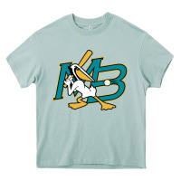 Arona the myrtle beach pelicans baseball Heavy Core Tee - linhVisuals