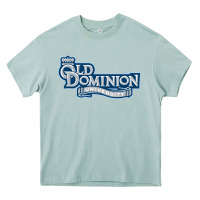 Arona old dominion monarchs football Heavy Core Tee - linhVisuals