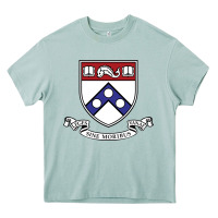 Arona the pennsylvania quakers Heavy Core Tee - linhVisuals