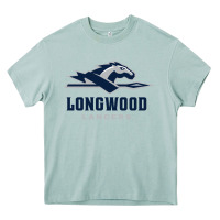 Arona longwood lancers Heavy Core Tee - linhVisuals