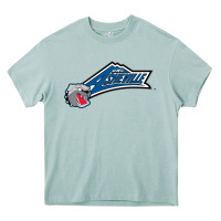 Arona unc asheville bulldogs Heavy Core Tee - linhVisuals