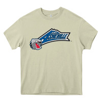 Mossy unc asheville bulldogs Heavy Core Tee - linhVisuals