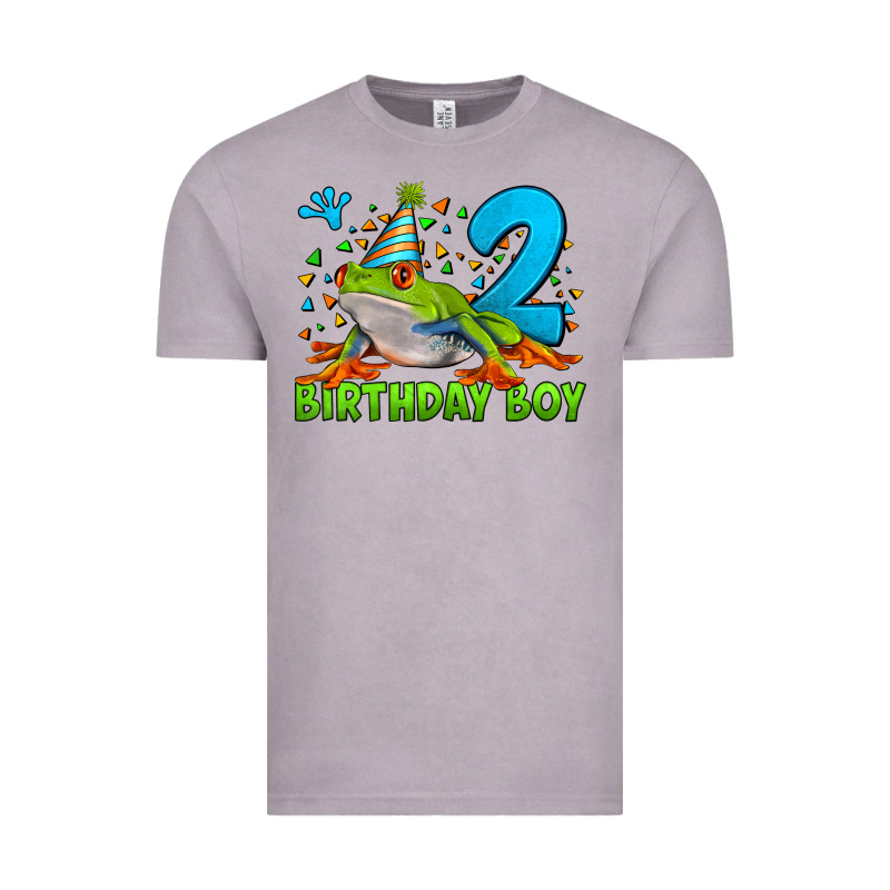 Birthday Boy Frog Age 2 Vintage Tee by LillyAllenDesigns | Teevron