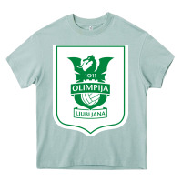 Arona eiteun olimpija ljubljana Heavy Core Tee - linhVisuals
