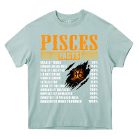 Arona pisces facts t shirt pisces birthday gifts Heavy Core Tee - linhVisuals