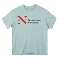 Arona The the northeastern Heavy Core Tee - linhVisuals