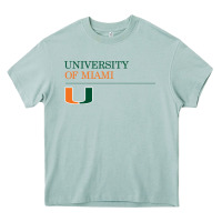 Arona The university of miami Heavy Core Tee - linhVisuals