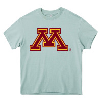 Arona The university of minnesota Heavy Core Tee - linhVisuals
