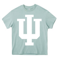 Arona Indiana Hoosiers, gear Heavy Core Tee - linhVisuals