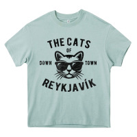 Arona cats of downtown reykjavik t shirt Heavy Core Tee - linhVisuals