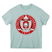 Arona OSU, Columbus, university gear Heavy Core Tee - linhVisuals