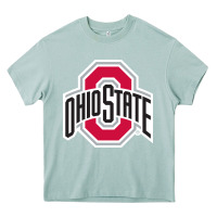 Arona OSU, athletics gear Heavy Core Tee - linhVisuals